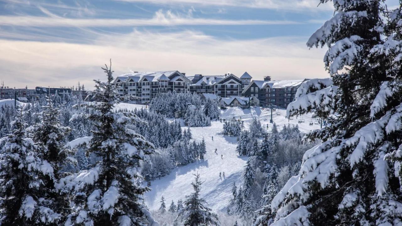 Snowshoe Ski-In & Ski-Out At Silvercreek Resort - Family Friendly, Jacuzzi, Hot Tub, Mountain Views Exteriér fotografie