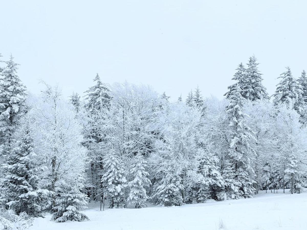 Snowshoe Ski-In & Ski-Out At Silvercreek Resort - Family Friendly, Jacuzzi, Hot Tub, Mountain Views Exteriér fotografie